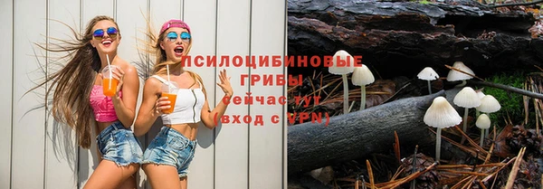 мяу мяу мука Алексин