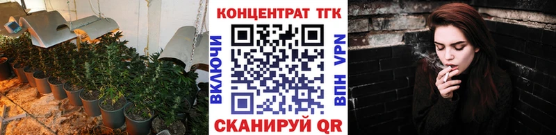 ТГК концентрат  купить наркотик  Суджа 