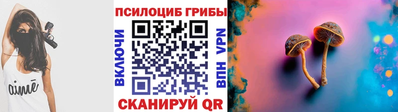 Галлюциногенные грибы мухоморы Суджа